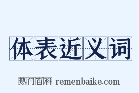 体表近义词是什么意思的图片